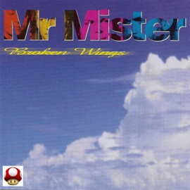 *MR. MISTER   *BROKEN WINGS*