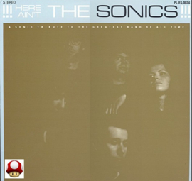 * HERE AIN'T the SONICS    *