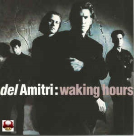 DEL AMITRI      *WAKING HOURS*