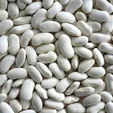 Kidneybeans White/ wit  / witte kidneybonen / witte nierbonen / Canada /Oogstjaar 2023 |  0,5 kilo