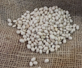 Cocos / Haricots Coco nain blanc / wittebonen  extra klein/ *Frankrijk / Oogstjaar 2023 / 500gram