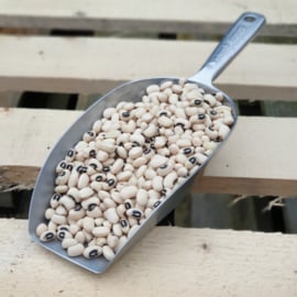 Black Eye Beans (peas) /  U.S.A. / Cow beans / Dolico / Oogstjaar 2021 / 0,5 kilo