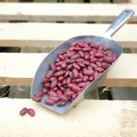Kidneybeans red / Haricots rouge / Rode nierbonen /  *Frankrijk / Oogstjaar 2022 / 0,5 kilo