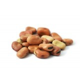 Tuinbonen / Fava beans