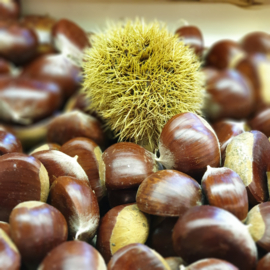 Kastanjes / Tamme kastanjes / maat 36+ (extra groot) \ Pofkastanjes / Frankrijk / 500gram
