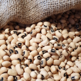 Black Eye Beans (peas) /  U.S.A. / Cow beans / Dolico / Oogstjaar 2022 / 0,5 kilo