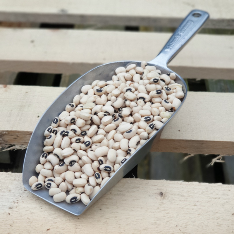Black Eye Beans (peas) /  U.S.A. / Cow beans / Dolico / Oogstjaar 2022 / 0,5 kilo