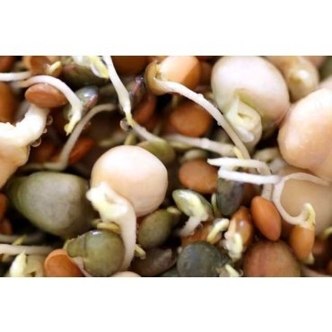 Linzenmix: 6-Lentil & Bean Sprout Blend / Herkomst: diverse *landen / 0,5 kilo