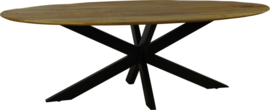 Boaz eettafel ovaal 240 x110 cm met spinpoot robuuste frame  Een aanrader