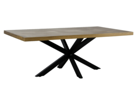 BRADLEY   eettafel recht  160 x100 cm tijdelijk aanbieding