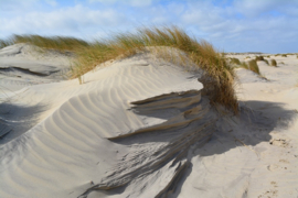 028. Texel en Terschelling.