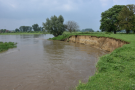 050 De Maasvallei