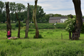050 De Maasvallei