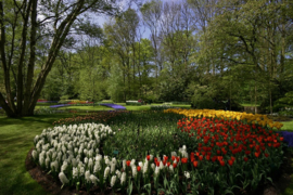 008. Keukenhof deel 1.