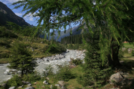 017. Oostenrijk deel 2 Het Pitztal, Karinthië, het Salzburgerland en Hallstadt e.o. in Opper-Oostenrijk.