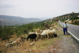 021. Spanje: op reis door Andalusië.