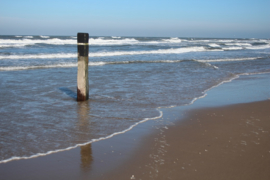 028. Texel en Terschelling.