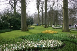 009. Keukenhof deel 2.