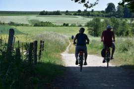 302. Voorleesverhaal met beeldmateriaal: de Zomer.