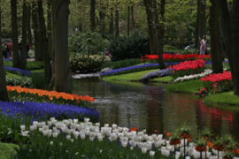 008. Keukenhof deel 1.