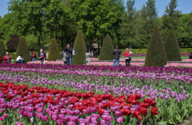 307. Voorleesverhaal met beeldmateriaal     Een dagje uit naar de Keukenhof