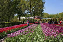 009. Keukenhof deel 2.