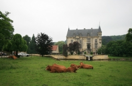 018. Oud-Valkenburg met kasteel Schaloen en natuurgebied het Gerendal.