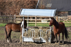 042. De paardenwereld