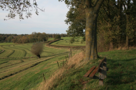 023. Veldwandeling in Zuid Limburg in de herfst en de winter.