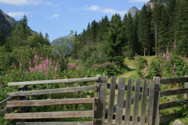 016. Oostenrijk deel 1 Tirol het Zillertal en het Kaunertal.