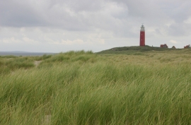 028. Texel en Terschelling.