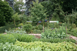 306. Voorleesverhaal met beeldmateriaal: de moestuin en de inmaak.