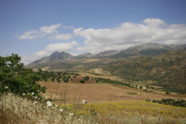 021. Spanje: op reis door Andalusië.