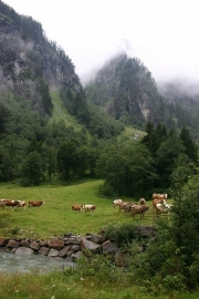 016. Oostenrijk deel 1 Tirol het Zillertal en het Kaunertal.