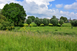 050 De Maasvallei