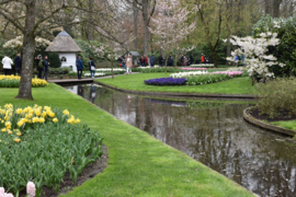 307. Voorleesverhaal met beeldmateriaal     Een dagje uit naar de Keukenhof