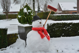 304. Voorleesverhaal met beeldmateriaal: de Winter