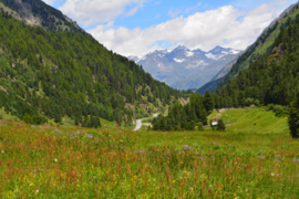 Nr. 100 Oostenrijk het Ötztal. (Film)