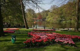 031. Keukenhof deel 3.