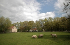 027. Bokrijk een openluchtmuseum.