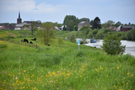 050 De Maasvallei