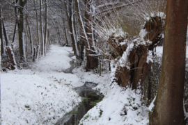 304. Voorleesverhaal met beeldmateriaal: de Winter