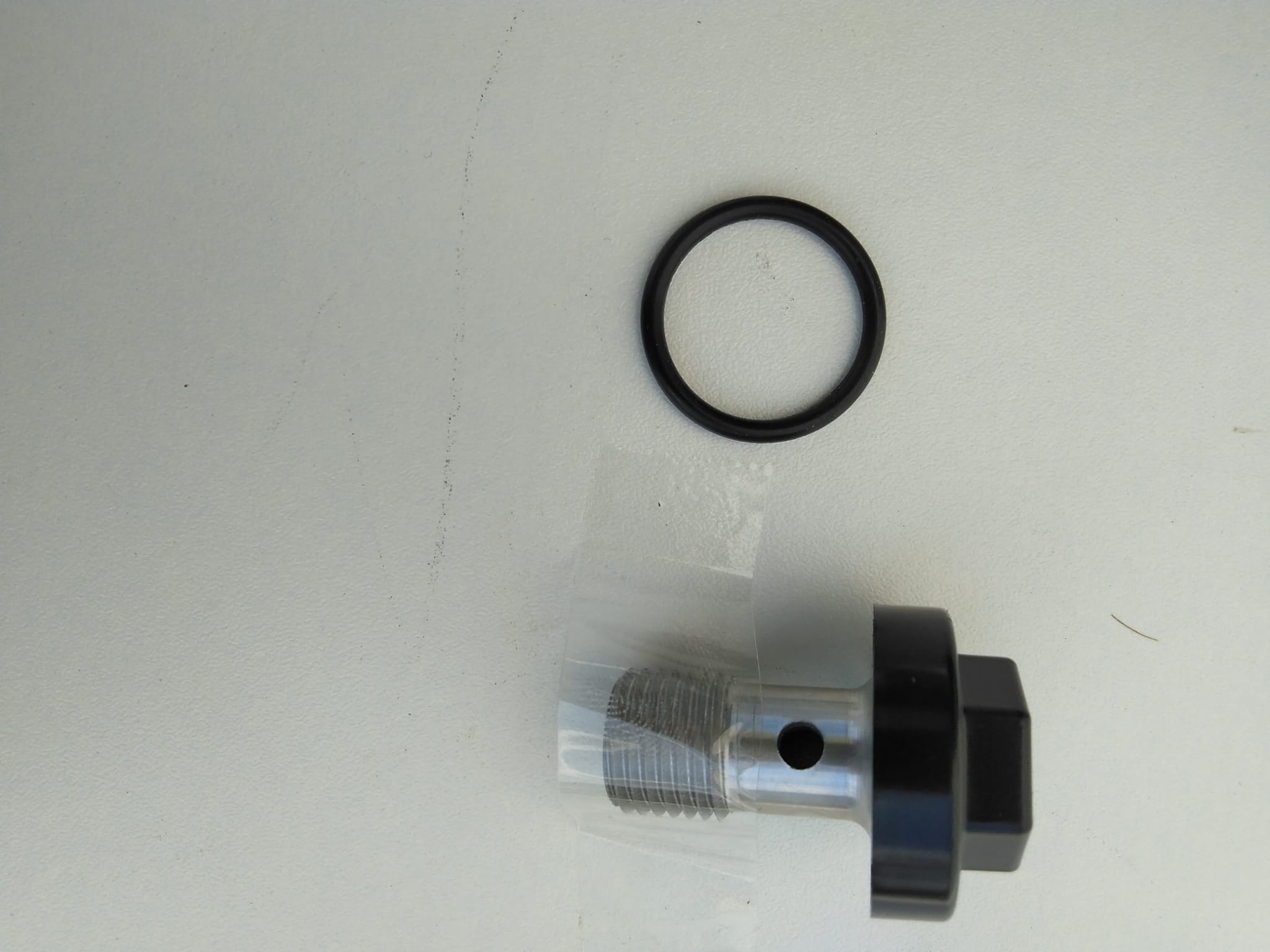 Olie kanaal PLUG Kawasaki GPZ500s met Oring