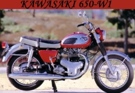 RemSchoenen Kawasaki 650W1 (68/70) Achter (tip) Prijs is per stuk!
