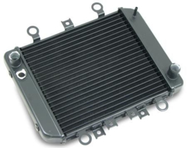 cuijk RADIATOR Kawasaki ER5 ER-5 (1997 t/m 2006)