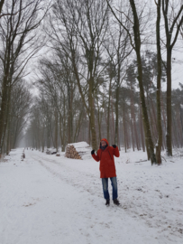 Rondje bos | Februari