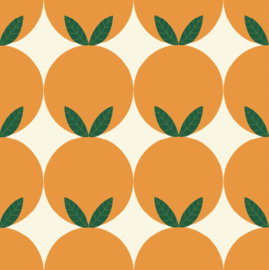 Greetsandgifts.nl | Beterschapskaart Sinaasappels Vitamine C