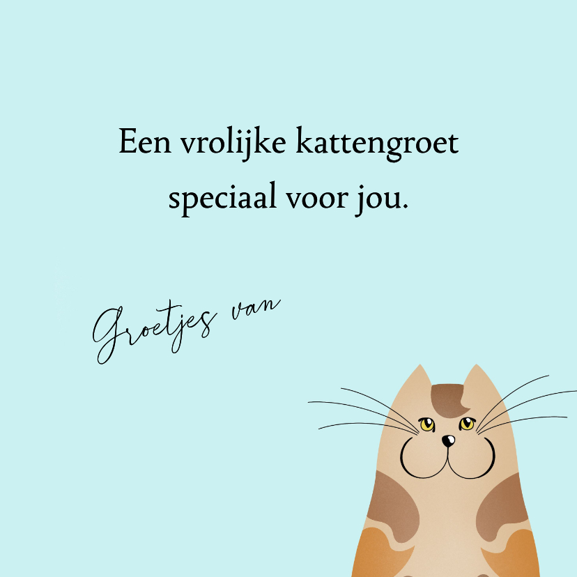 Kaartje2go.nl | Wenskaart nieuwsgierige katten