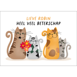 Kaartje2go.nl | Beterschapskaart - groepje katten met een bosje bloemen