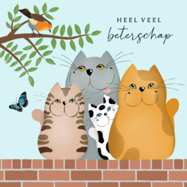 Kaartje2go.nl | Beterschapskaart katten op een muurtje